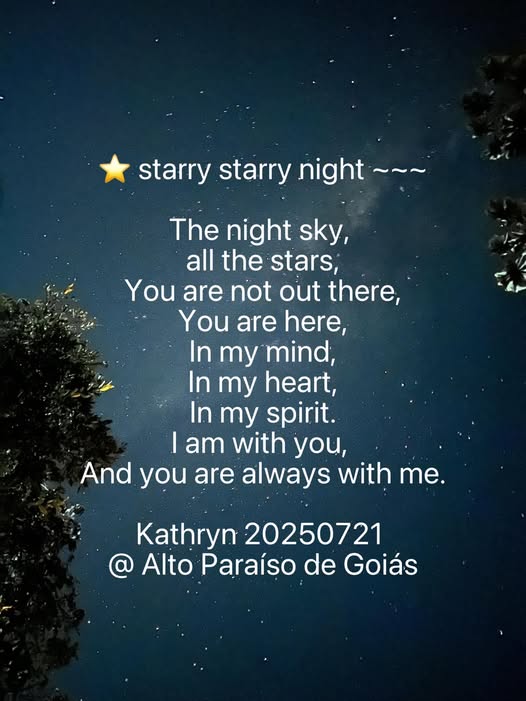starry starry night