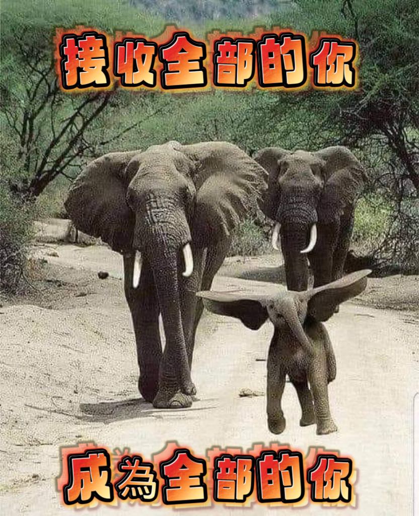 接收全部的你,成為全部的你 – kathrynHuang